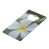 Plumeria tropicale blanche de Fidji (Dos Angle)