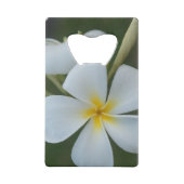 Plumeria tropicale blanche de Fidji (Dos)
