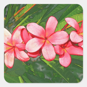 plumeria vierkante sticker