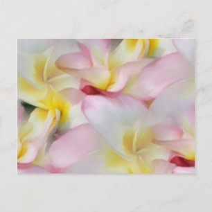 Plumeria Waterverf Briefkaart