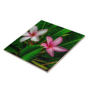 Plumerias en Carreaux céramiques blancs et roses