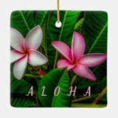 Plumerias en Ornement Blanc et Rose (Dos)