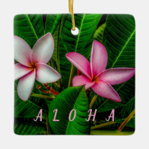 Plumerias en Ornement Blanc et Rose