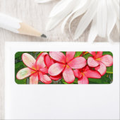 Plumeria's Etiket (Insitu)