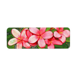 Plumeria's Etiket