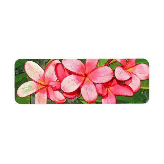 Plumeria's Etiket (Voorkant)