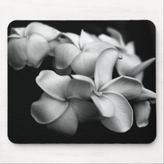 Plumerias Muismat