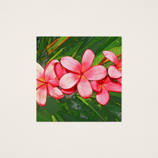 Plumerias rose (Devant)