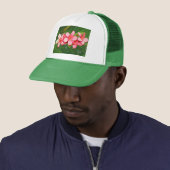 Plumeria's Trucker Pet (In situ)