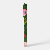 plumérie (Côté gauche)