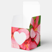 Plumerie Bedankdoosjes (Geopend)