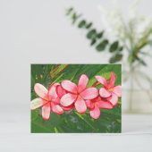 Plumerie Briefkaart (Staand voorkant)