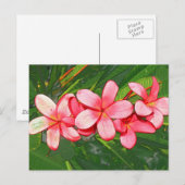 Plumerie Briefkaart (Voorkant / Achterkant)