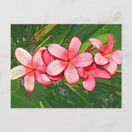 Plumerie Briefkaart (Voorkant)
