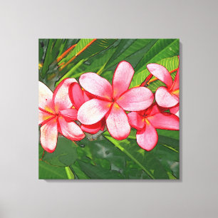 Plumerie Canvas Afdruk