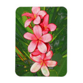 Plumerie Magneet (Verticaal)