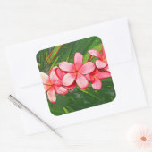 Plumerie Vierkante Sticker (Envelop)