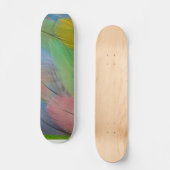 Plumes colorées Skateboard (Recto)