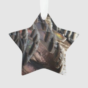 Plumes de Dindon Sauvage I Design Abstrait de la N