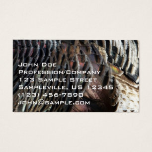 Plumes de Dindon Sauvage I Design Nature Abstrait