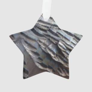 Plumes de Dindon Sauvage II Design Abstrait de la