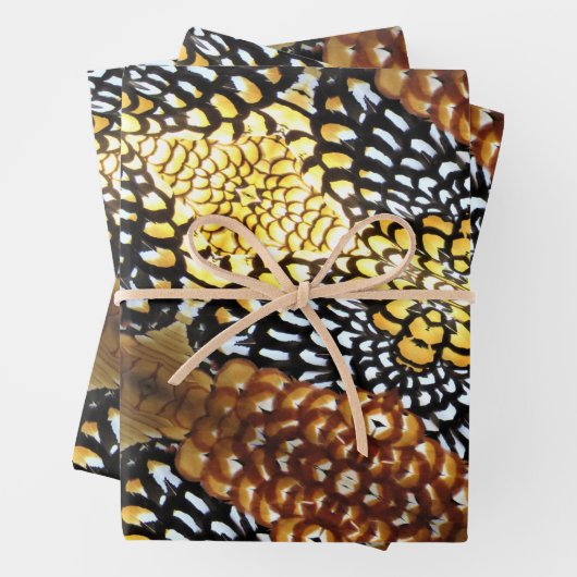 Plumes de faisan Reeve - Feuilles de papier d'enve (En situation)