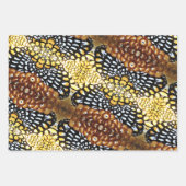 Plumes de faisan Reeve - Feuilles de papier d'enve (Devant 3)