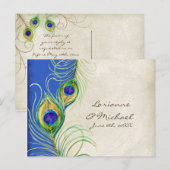 Plumes de paon Carte de réponse RSVP Royal Damask (Devant / Derrière)