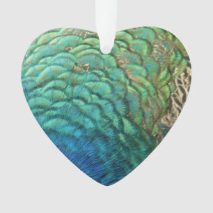 Plumes de paon I Design de nature abstrait coloré