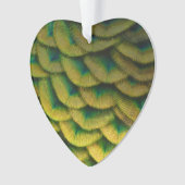 Plumes de paon II Nature colorée (devant)