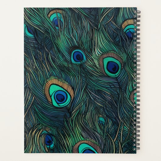 Plumes de paon Planneur spirale à couverture rigid (Dos)