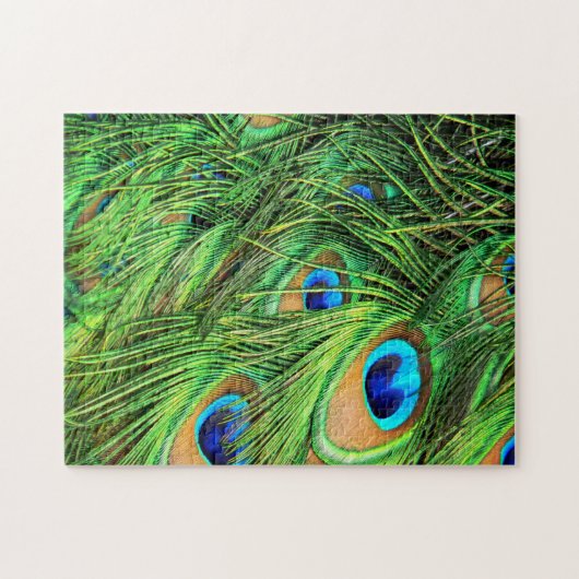 Plumes de paon Puzzle difficile (Horizontal)