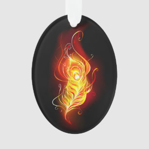 Plumes de paquetage de feu