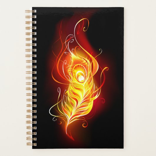Plumes de paquetage de feu (Devant)