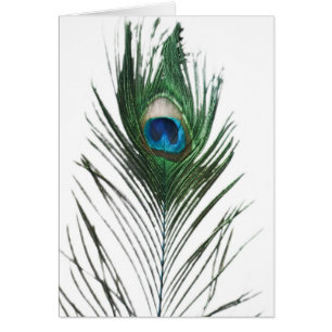 Plumes de paquetage défectueuses