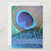 Plumes de Peacock Vibrant Invitation moderne (Dos)