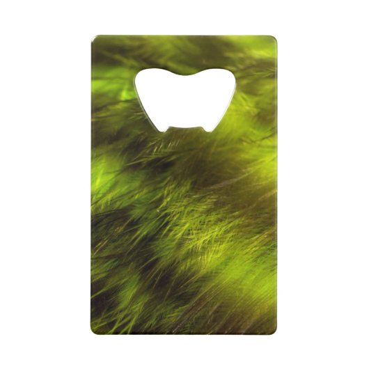 Plumes jaunes dans les ombres (Devant)