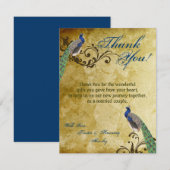 plumes PLATES de cru de paon du carte de (Devant / Derrière)