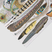 Plumes Tissuepapier (Detail)