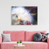 Plumose Anemone - Toile Enveloppée (Insitu(Salon))