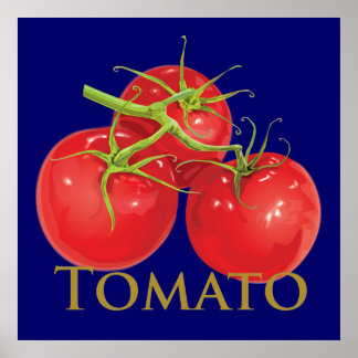 Plump Red Tomaten Poster