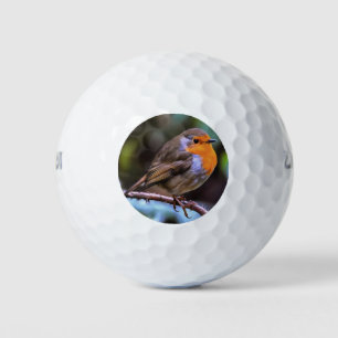 Plump Robin Perched on a Branch Wildlife Art Golfballen