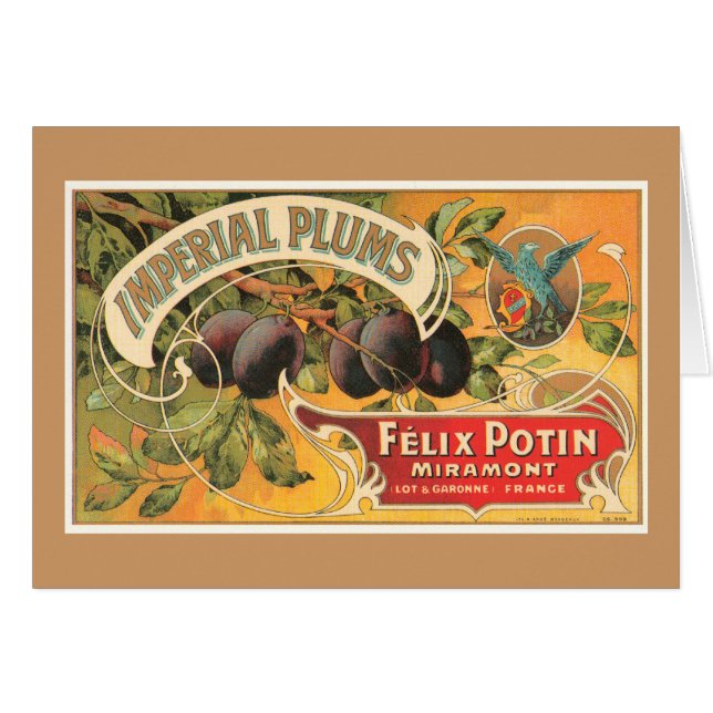 Plums impériaux (Devant horizontal)