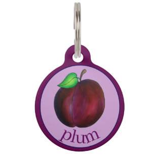 Plums Ripe Summer Paars Plum Fruit Illustration Huisdierpenning