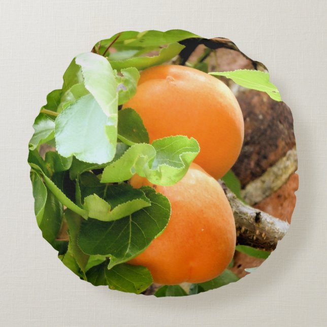 PLUMS ROND KUSSEN (Voorkant)