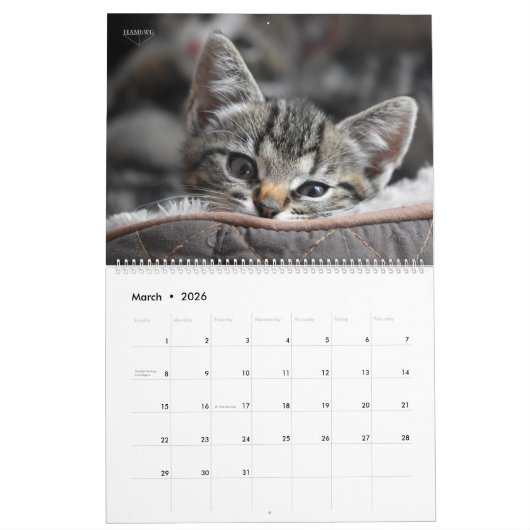 Plus de calendrier mural de chatons - HAMbyWG (Mar 2026)