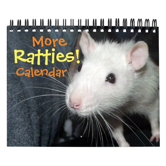 Plus de loteries ! calendrier (petit) (Protection)