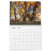 Plus De Renards Rouges Dans Le Calendrier Automne (Feb 2027)