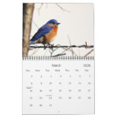 Plus d'oiseaux dans votre calendrier 2013 de (Mar 2026)
