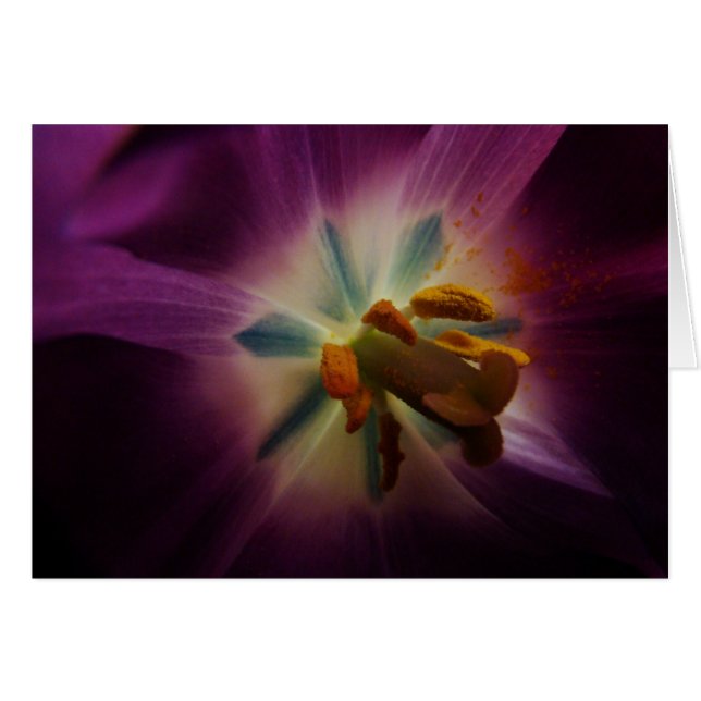 Plus grand que moi (Devant horizontal)